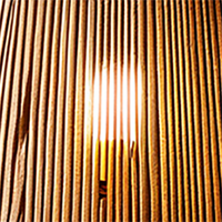 hikari lamp